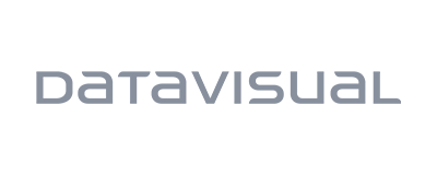 Logo DataVisual